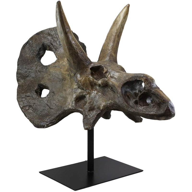 fossils and archeology triceratops